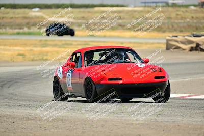 media/Jul-27-2024-Speed Ventures (Sat) [[14cea0cda4]]/Purple/Cotton Corners 1250pm/